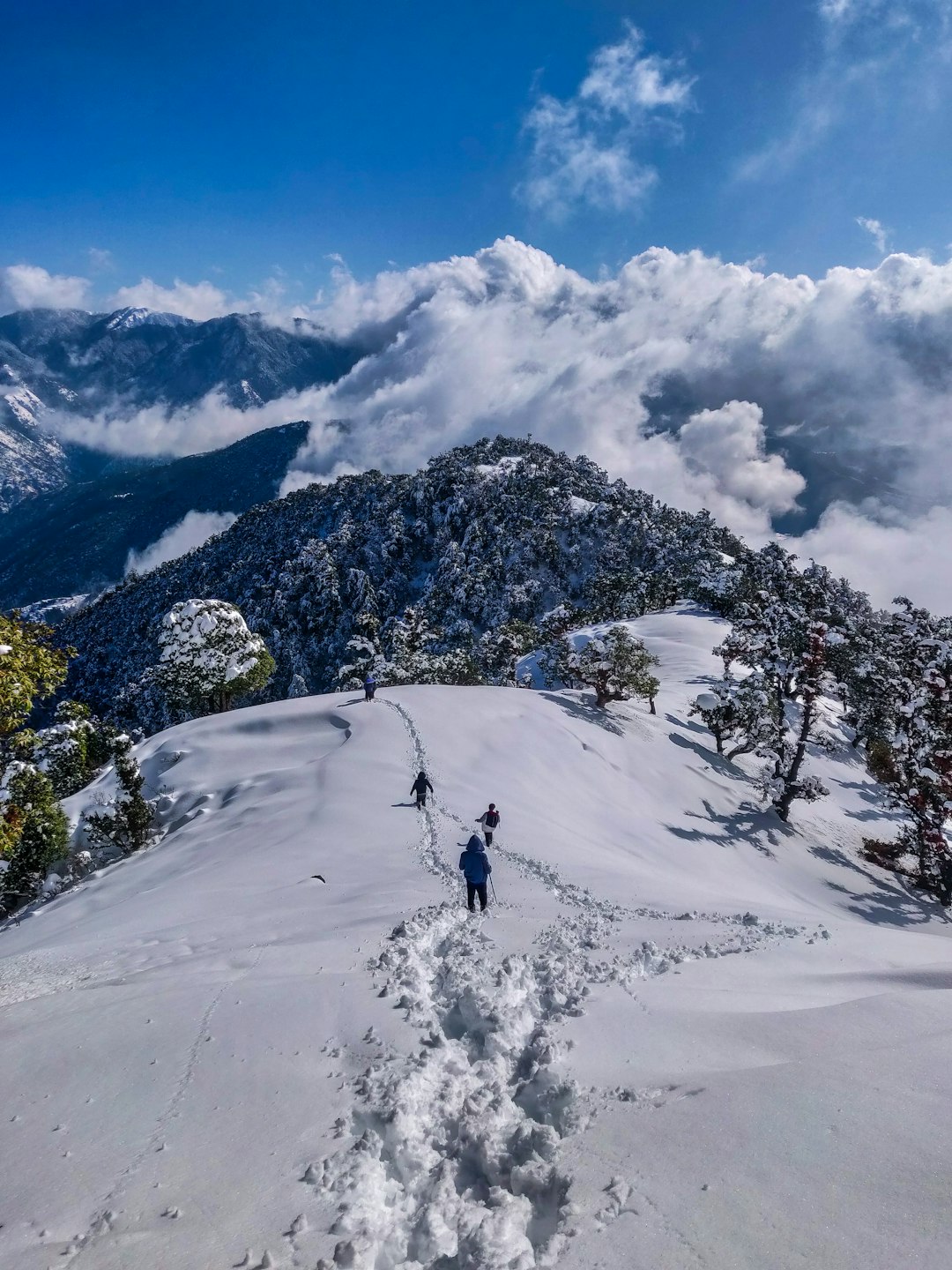 Manali tour destination