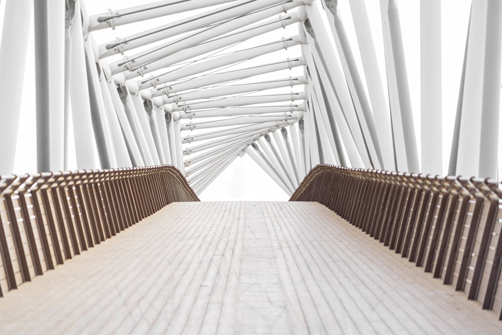 white and brown wooden chairs