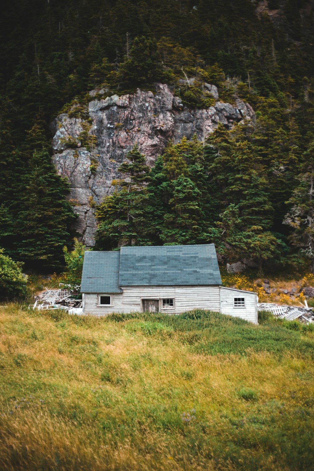 white and gray house near green trees during daytime