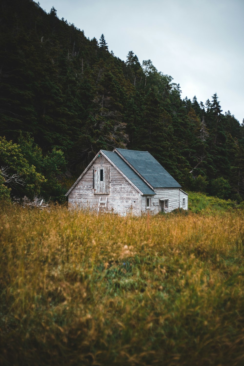 white and gray wooden house on green grass field