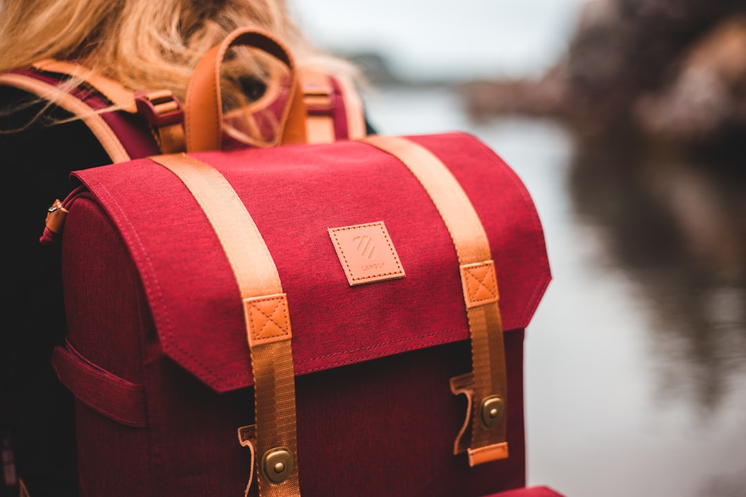 red and brown leather handbag