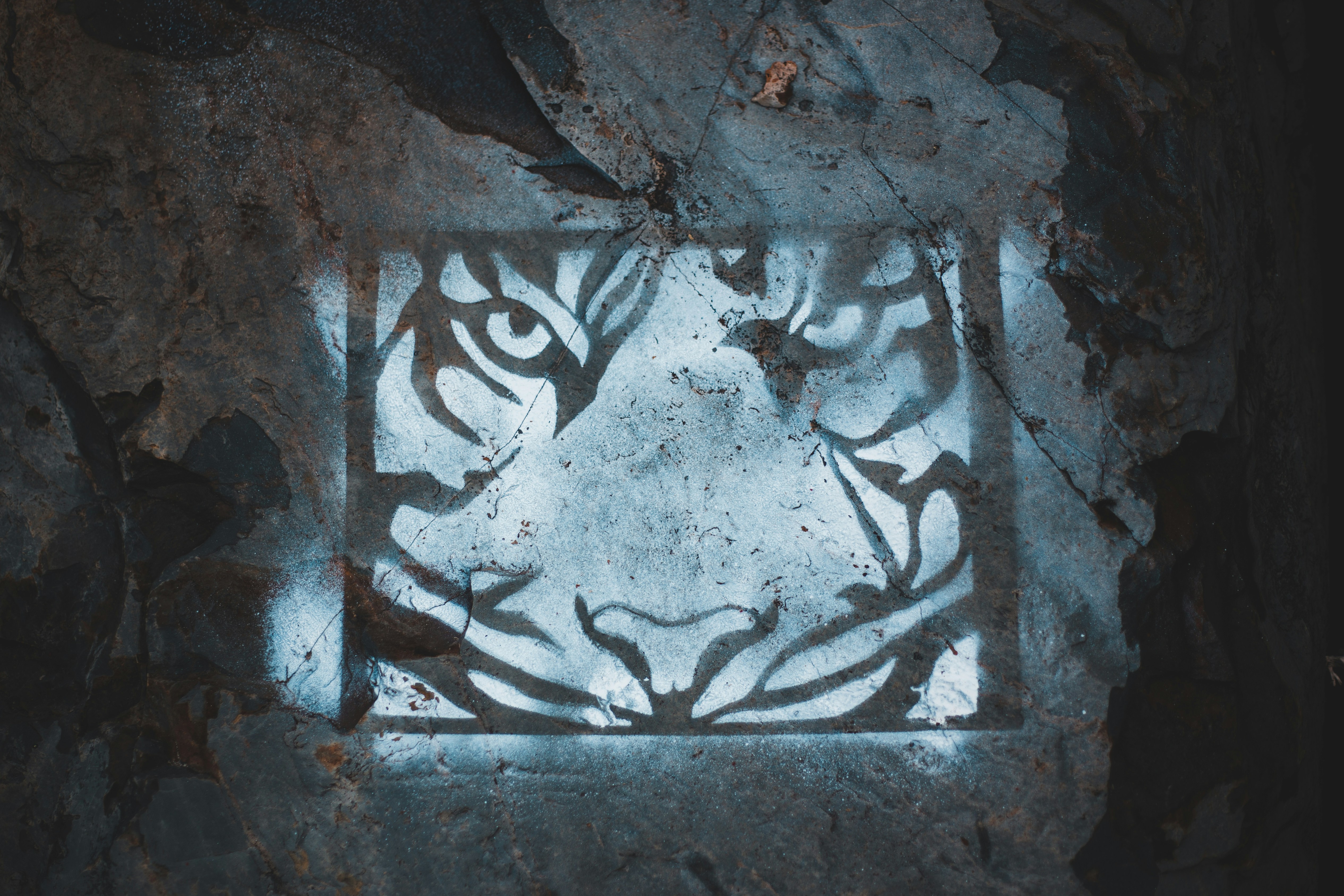 Photo by introspectivedsgn