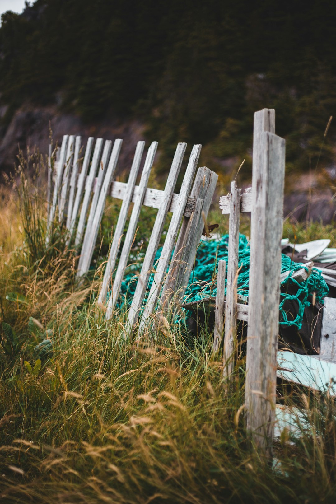 white wooden fence on green grass field during daytime