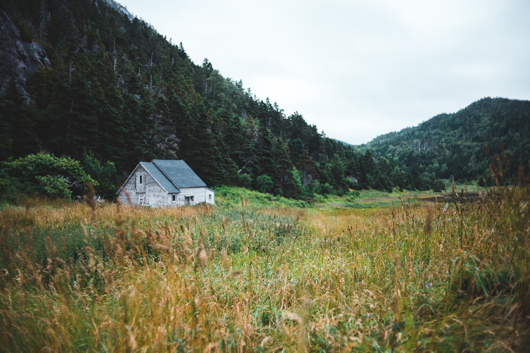 white and gray house on green grass field near green trees and mountains during daytime