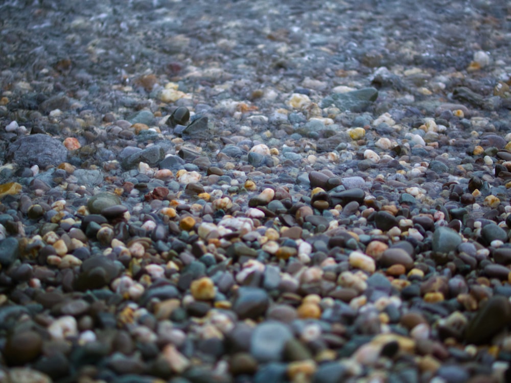 gray and brown pebbles during daytime