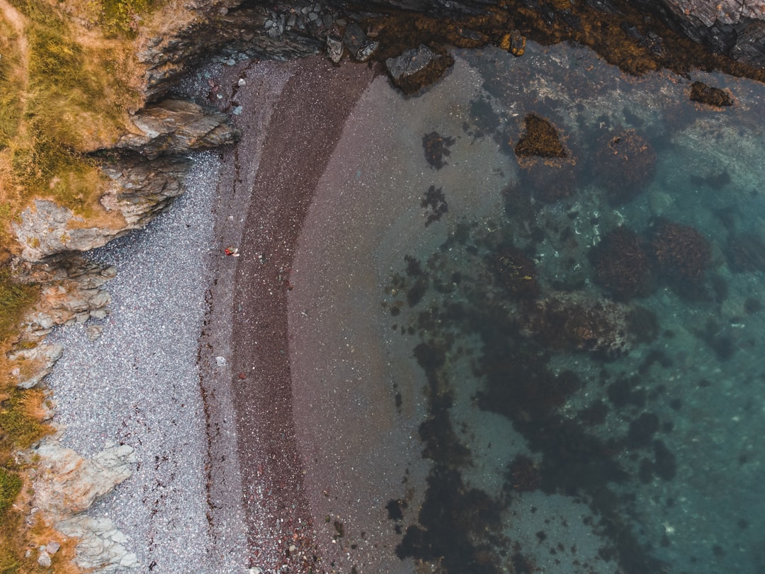 aerial view of body of water during daytime