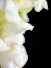 Close-up of a calming ticket featuring natural textures and gentle colors.