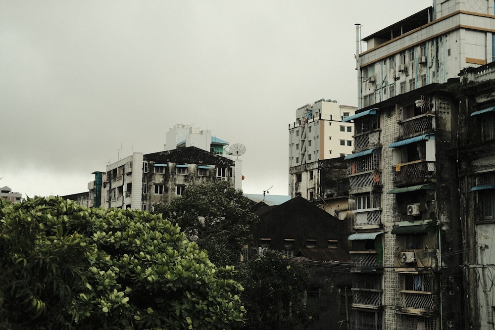 white concrete buildings near green trees under white sky during daytime