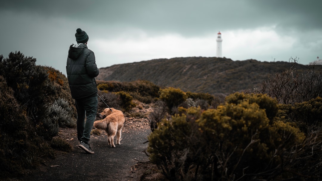man in black jacket walking with brown dog on mountain during daytime