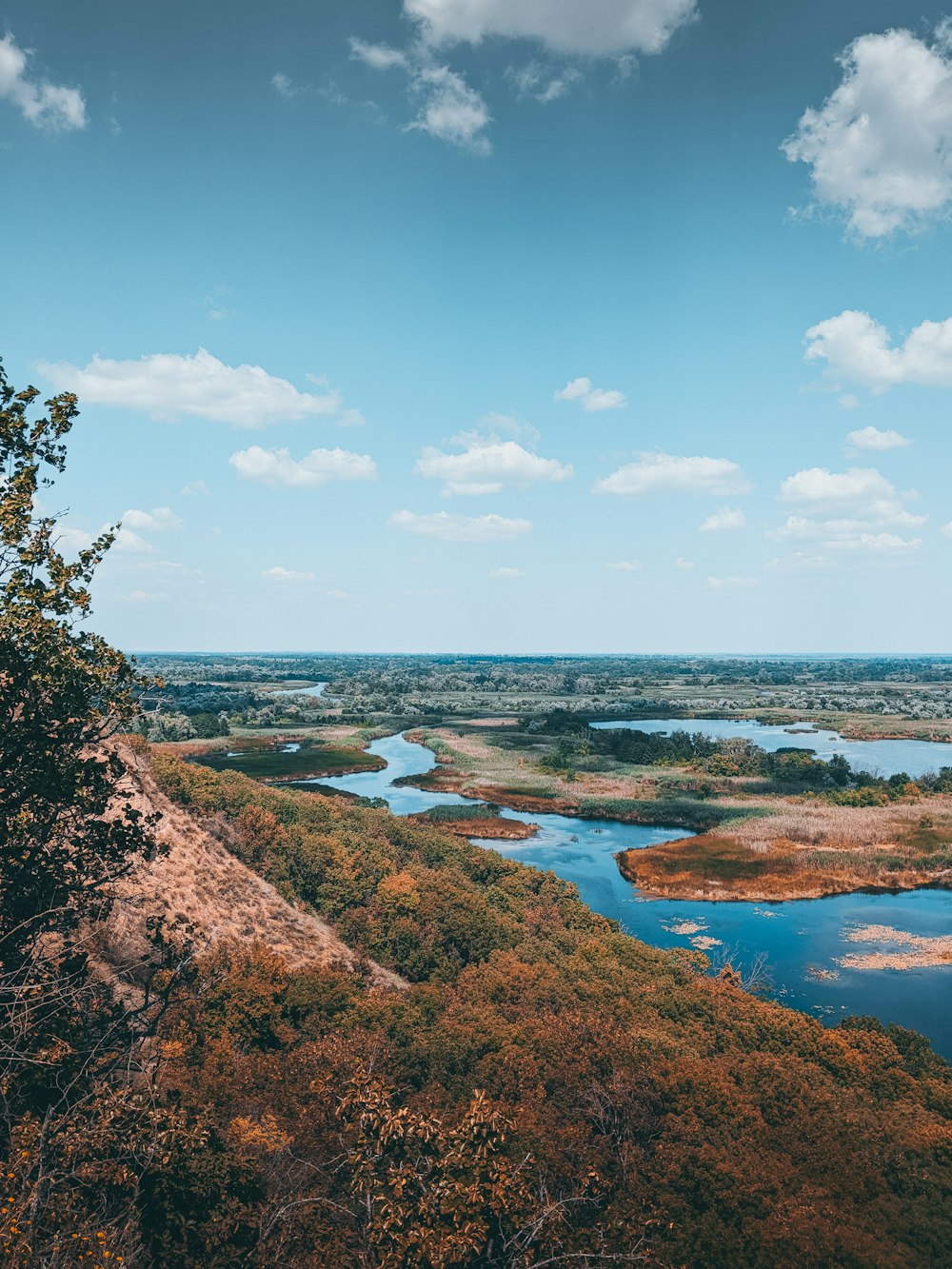 green trees near body of water under blue sky during daytime