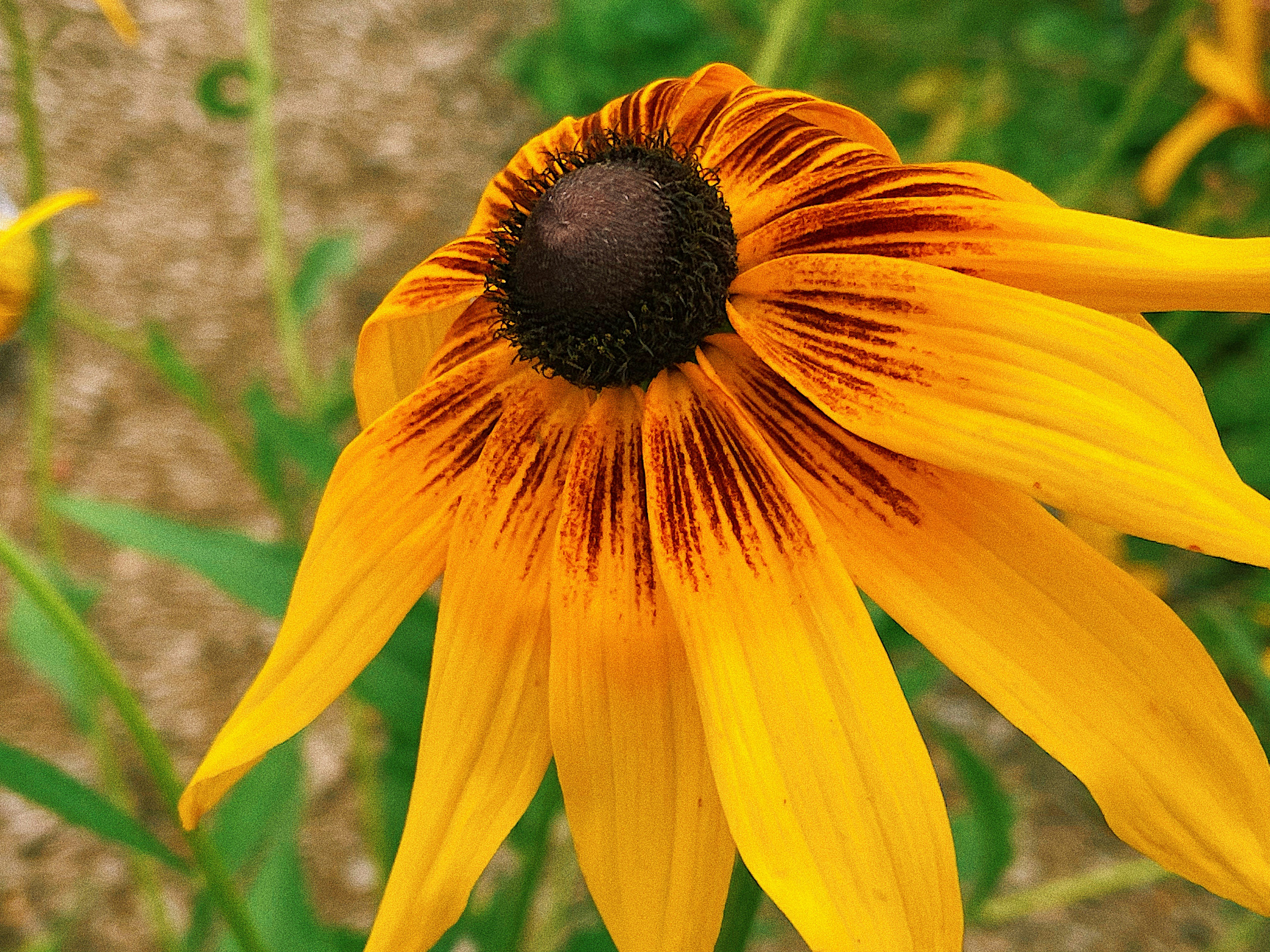 Photo by naomi_august