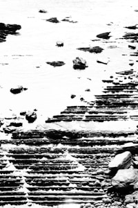 Shoreline in Monochrome