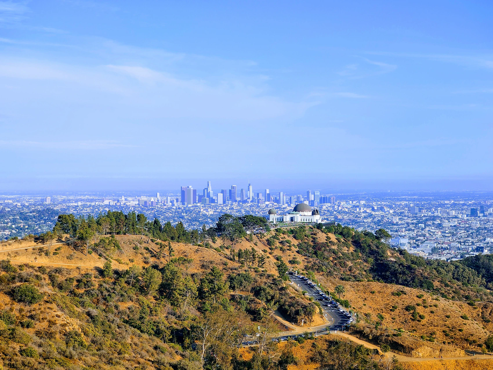 Griffith Observatory and the distant Downtown Los Angeles skyline seen from a green hillside