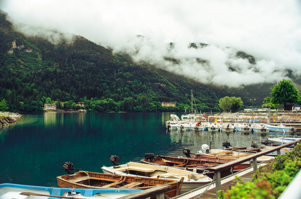 brown wooden boats on dock during daytime