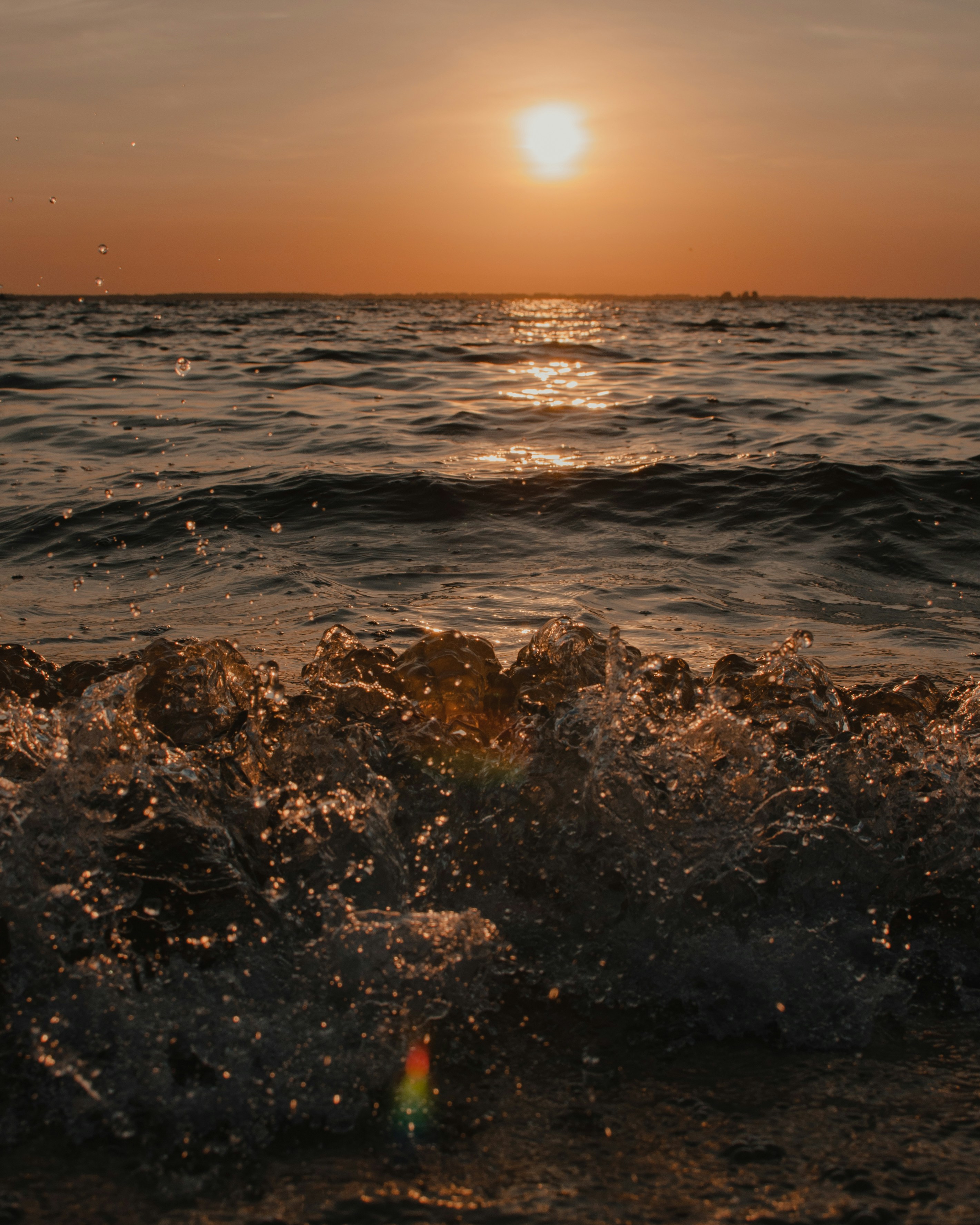 Photo by bullettrainnnnn