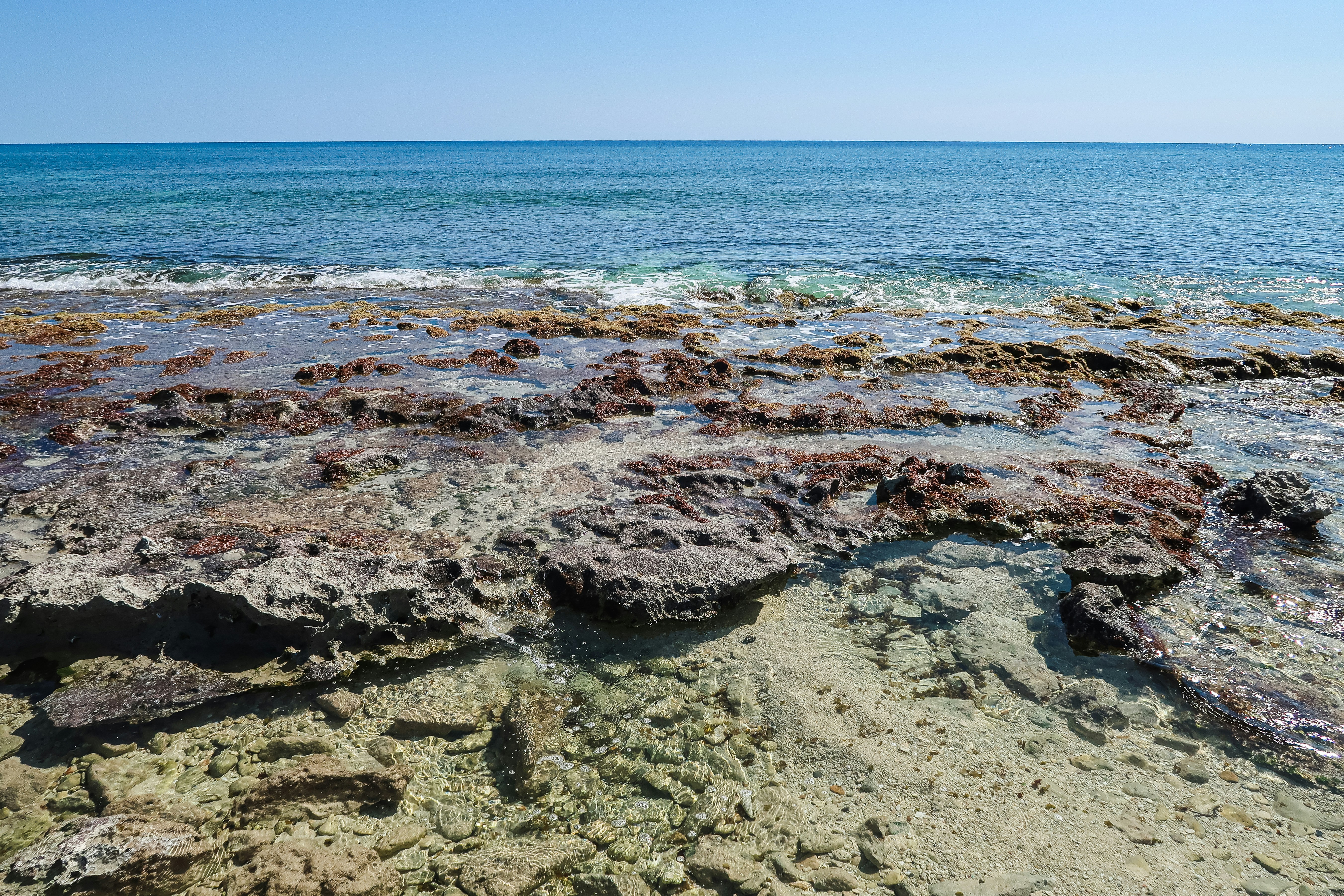 The Search for Earth's First Ecosystems (image credits: unsplash)