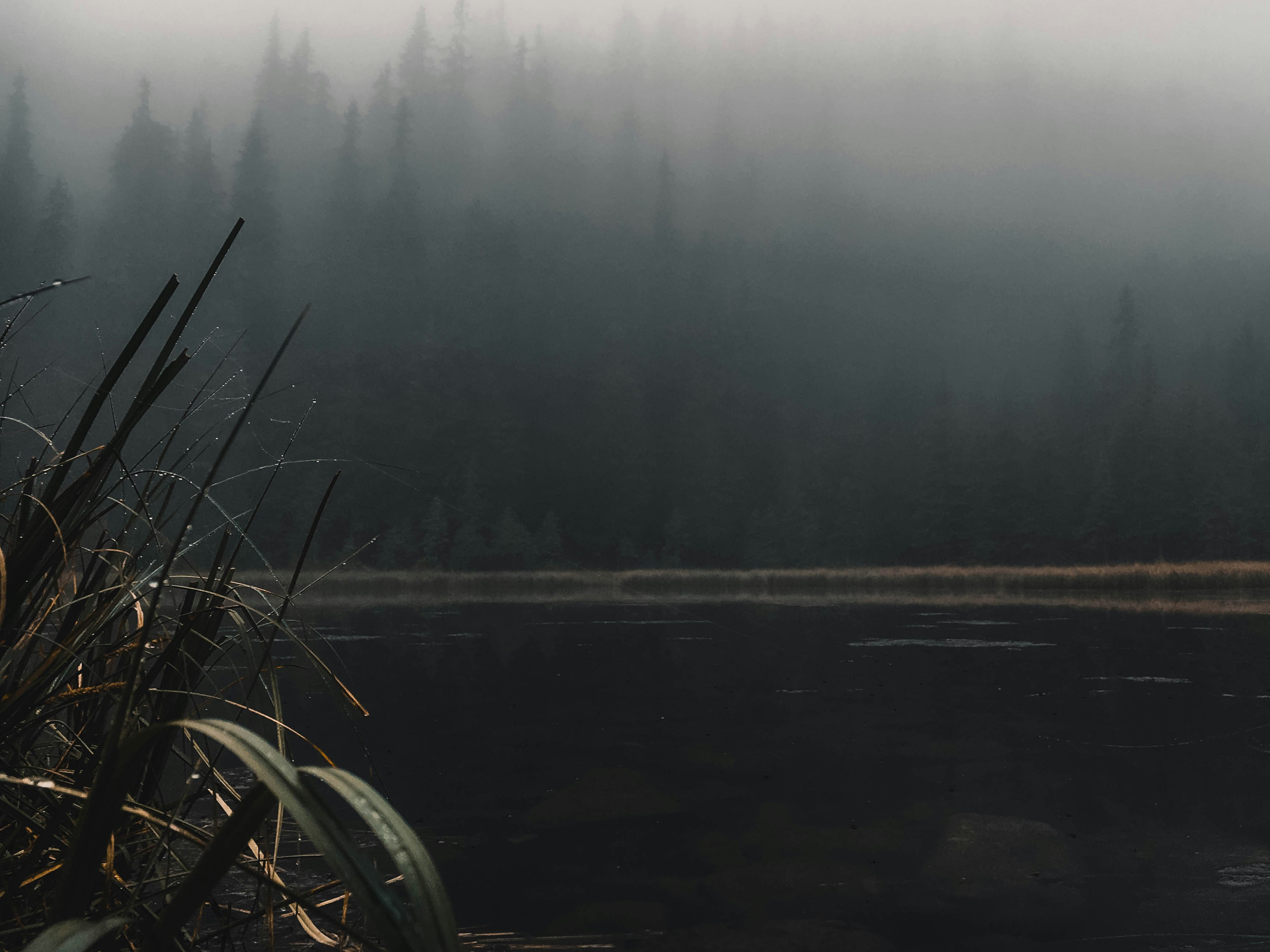 Photo by bullettrainnnnn