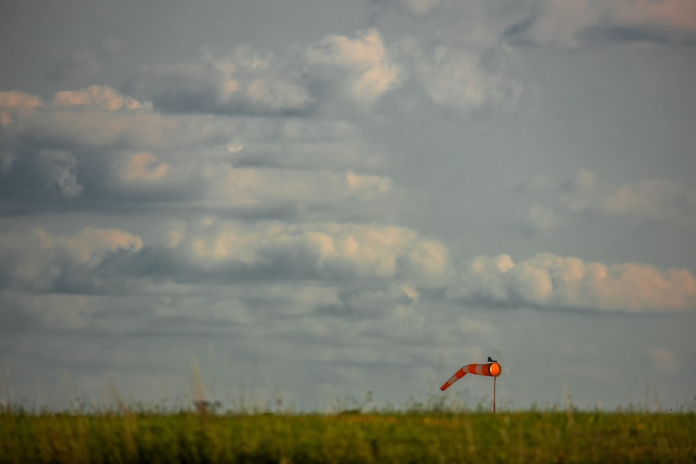 red bird flying over green grass field under white clouds during daytime