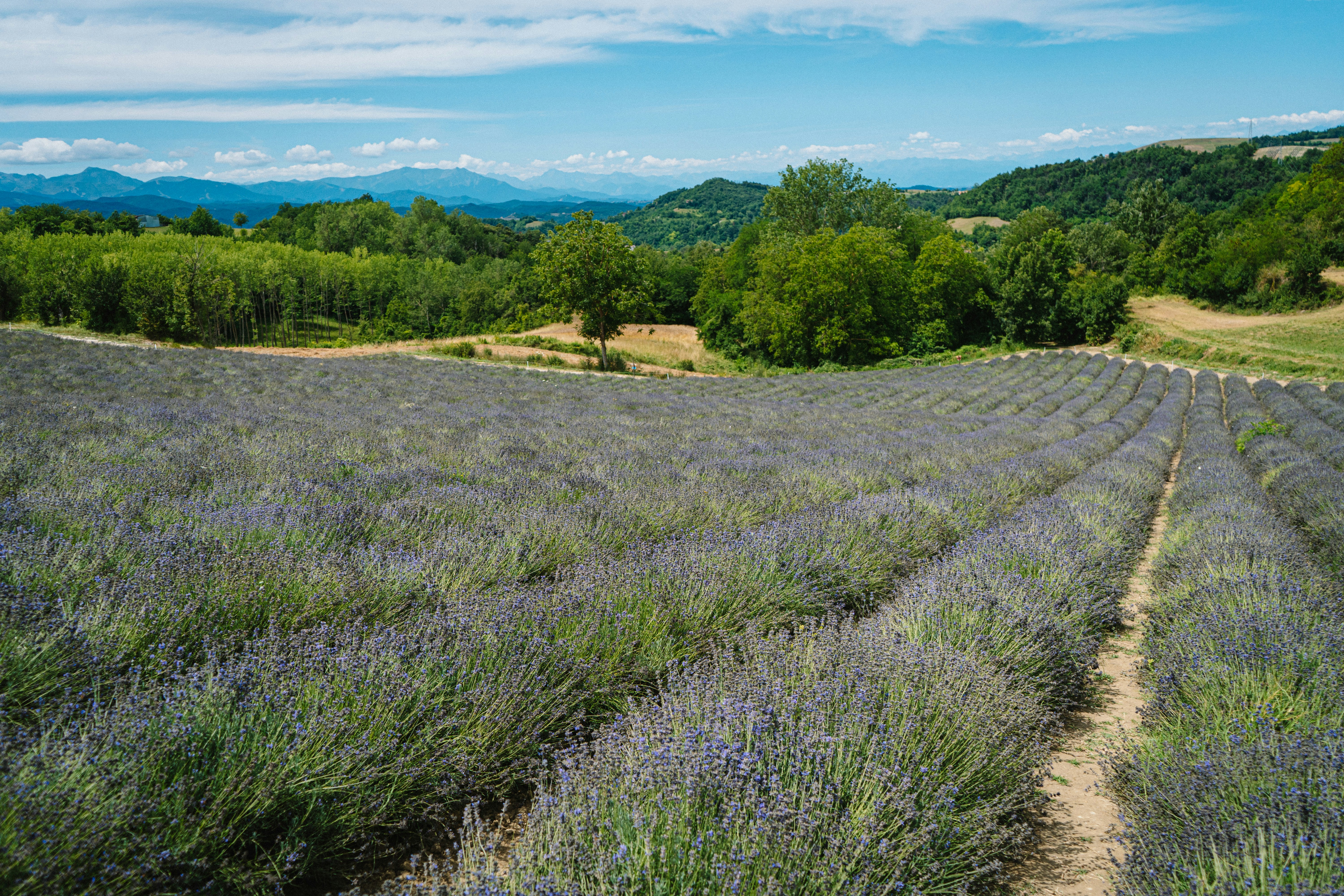 Photo by fabiofistarol