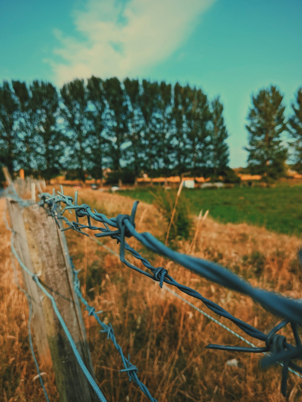 gray barbwire fence on brown grass field during daytime