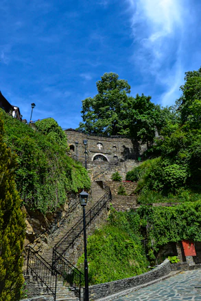 Historic stone staircase surrounded by lush greenery at Domaine d’Arry.