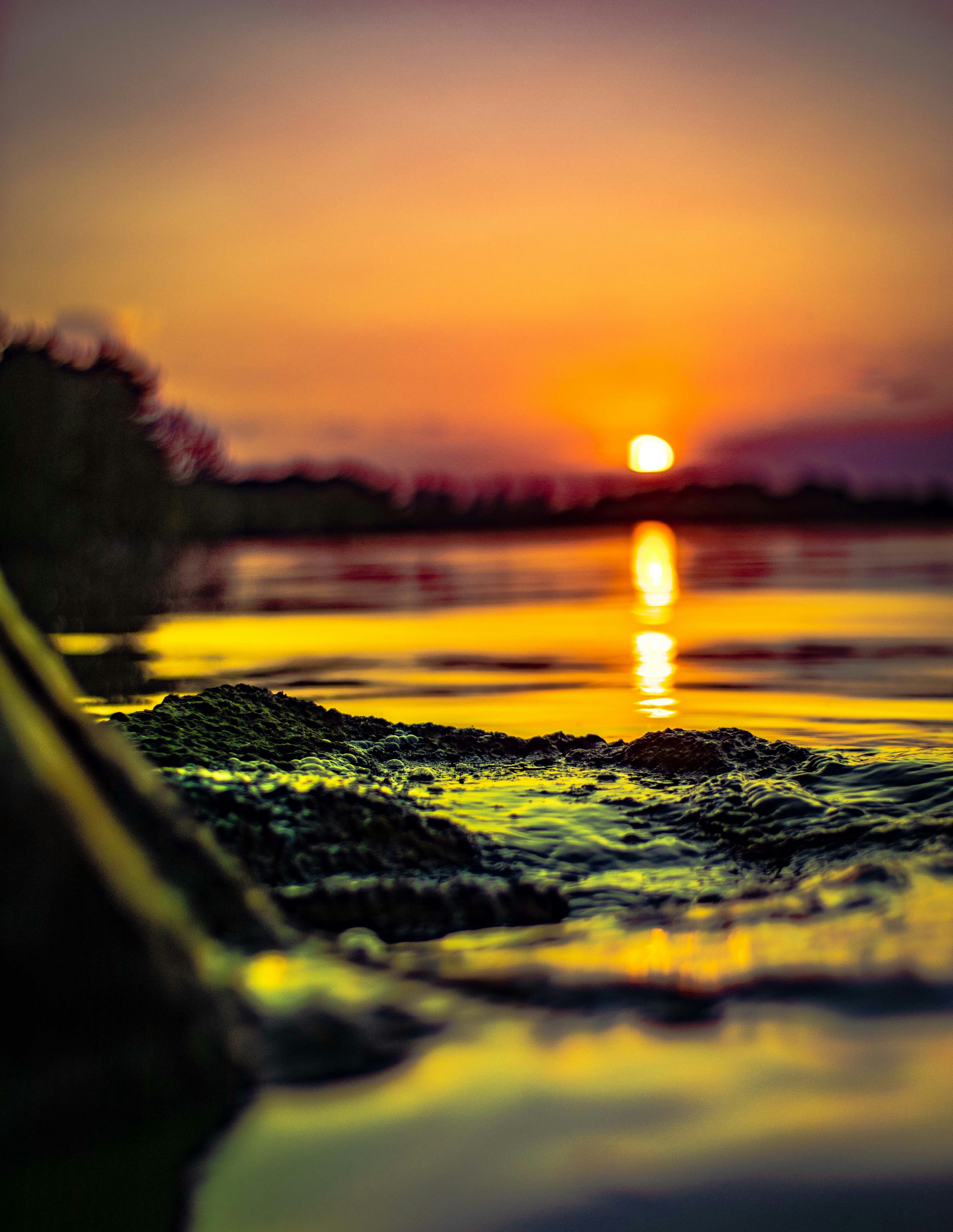 Photo by pararirura