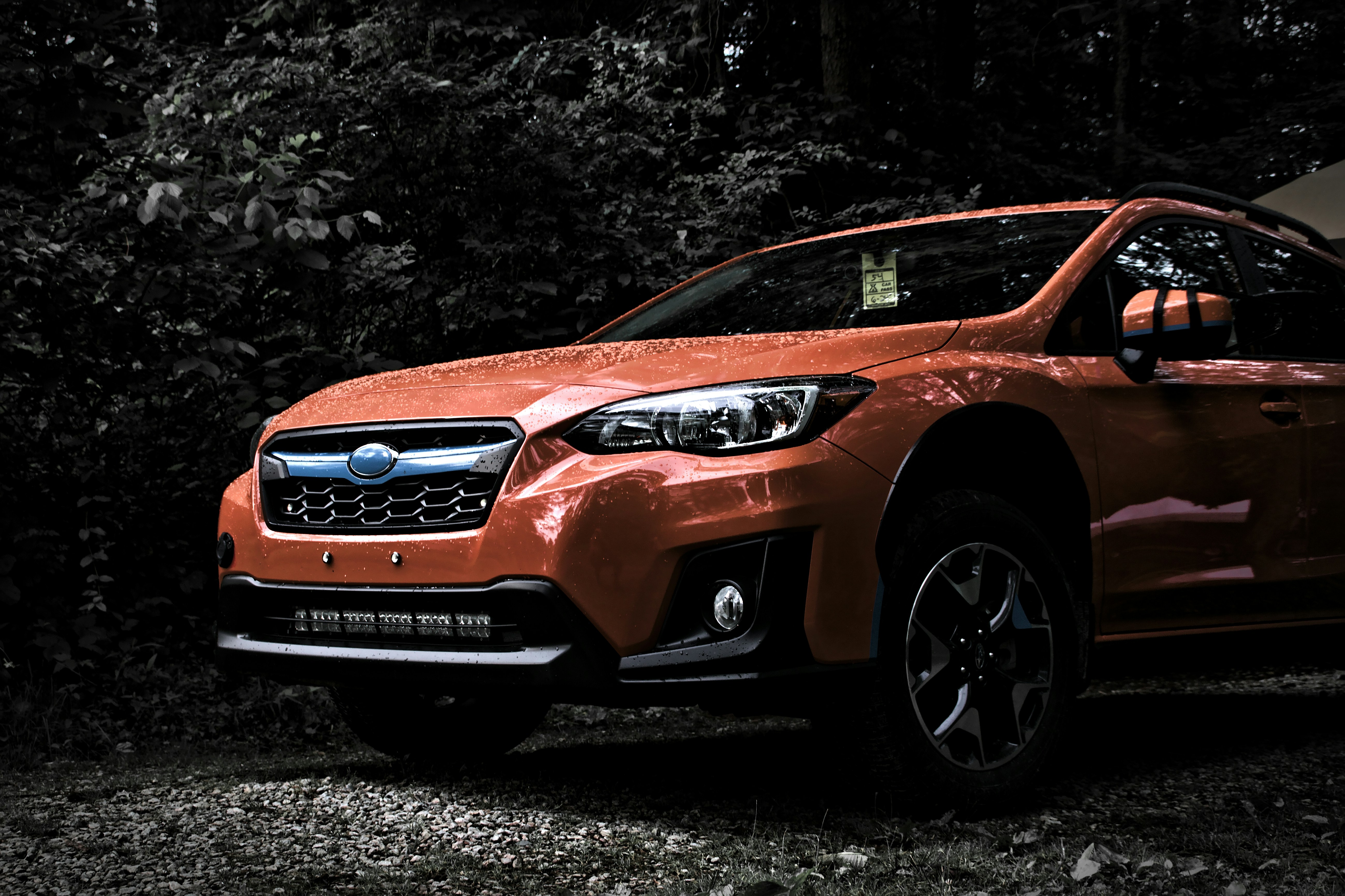 Photo by mrgreatheart