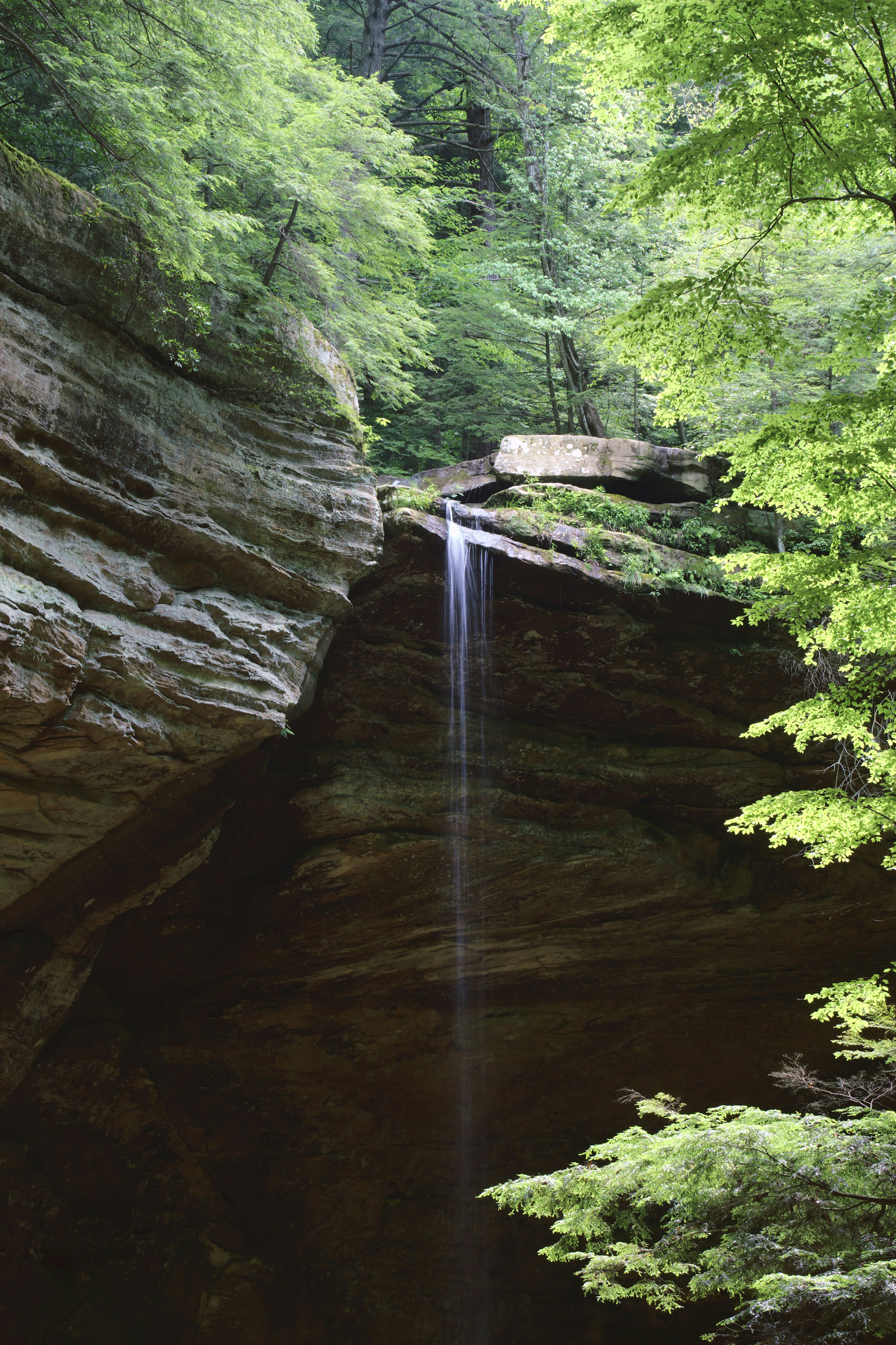 Photo by mrgreatheart