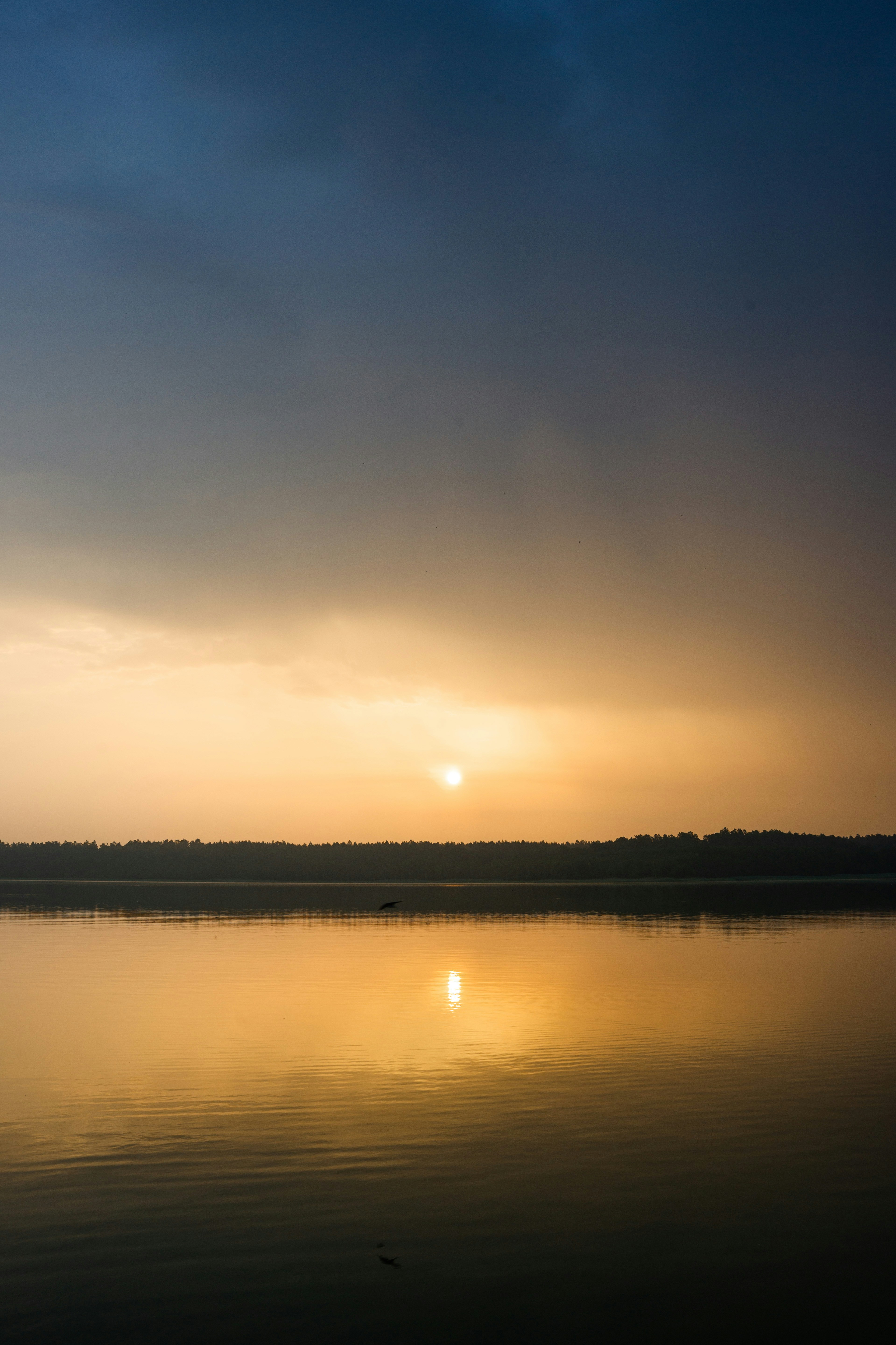 Photo by imperialart