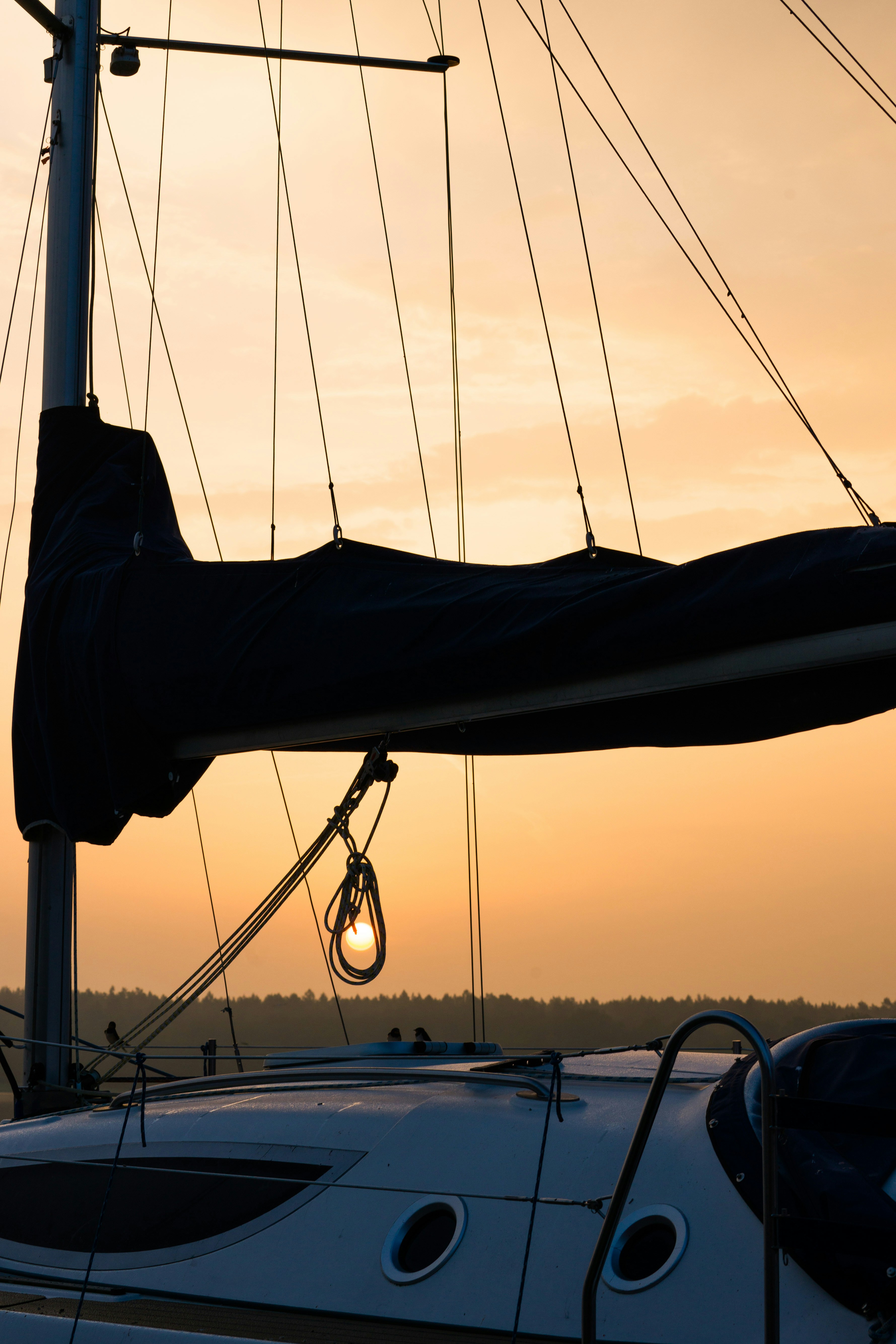 Photo by imperialart