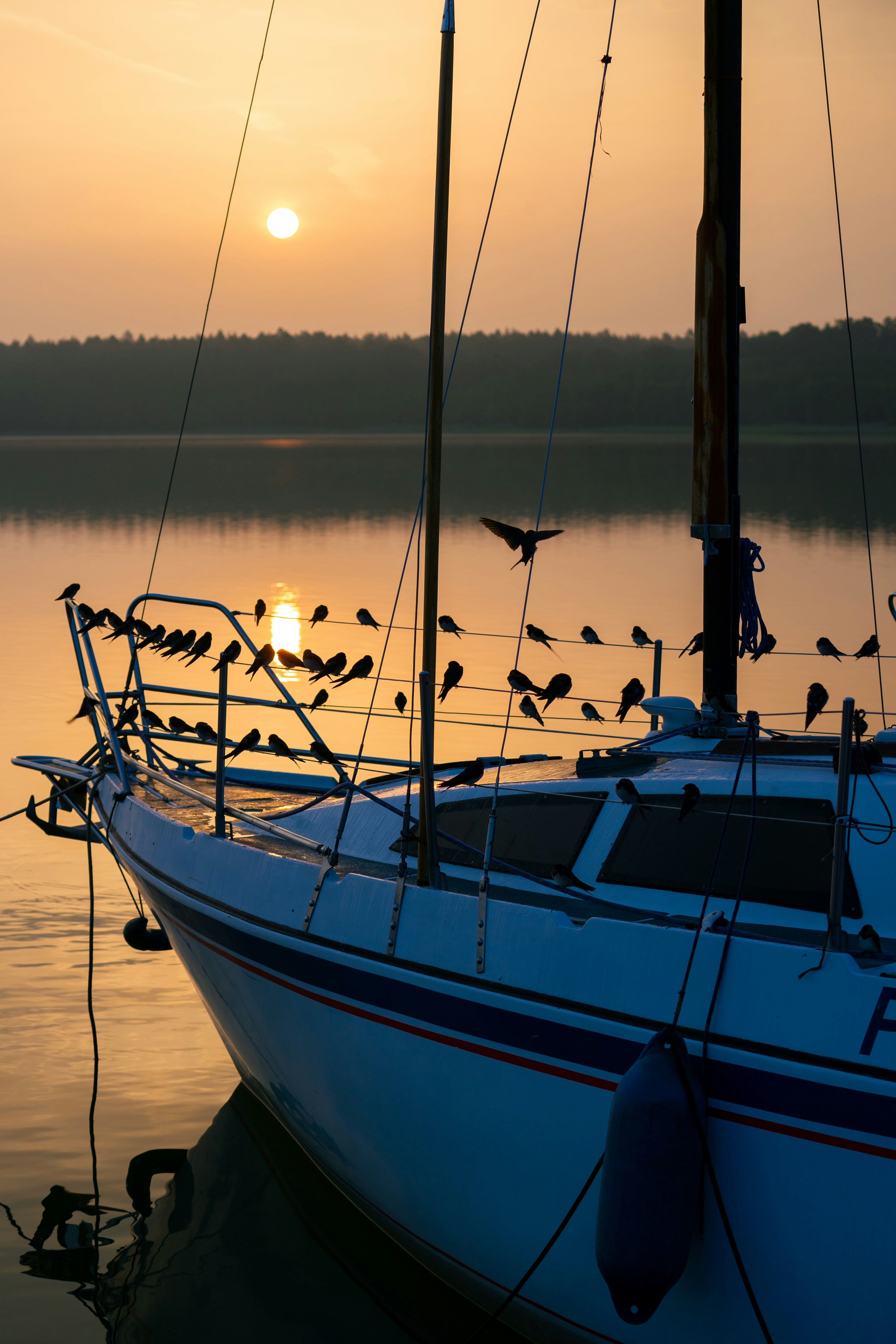 Photo by imperialart