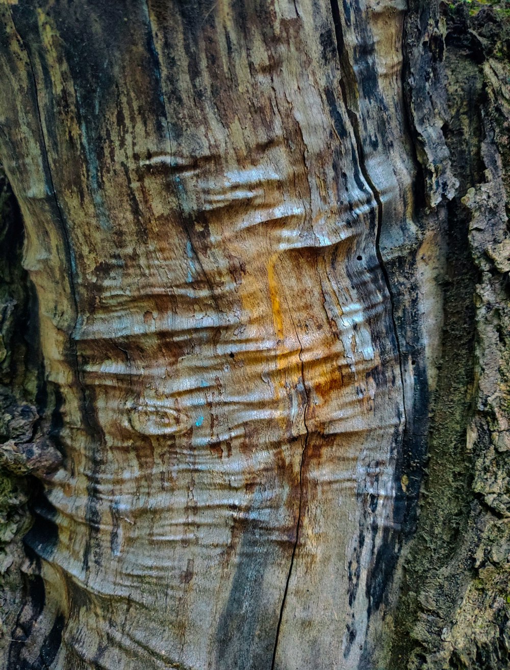 brown and gray rock formation