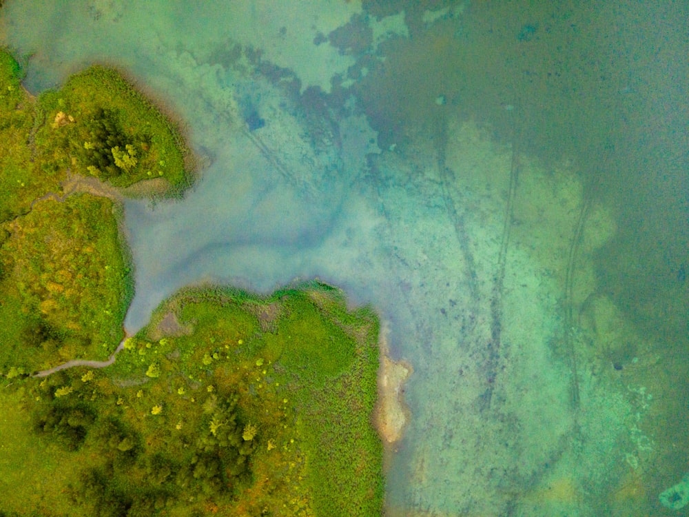 aerial view of green and white land