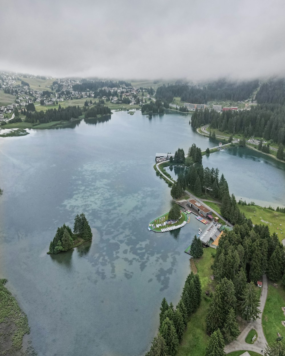 Veduta aerea di alberi verdi vicino allo specchio d'acqua durante il giorno