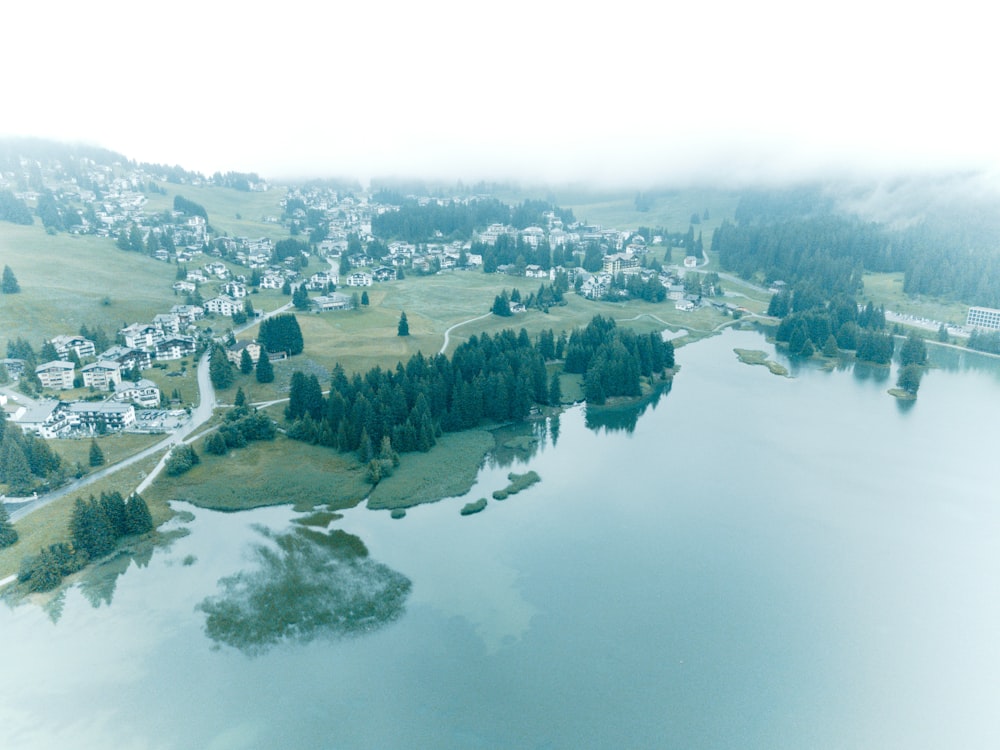 aerial view of green trees and houses during daytime