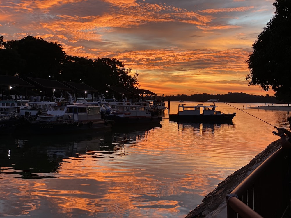 white boat on dock during sunset