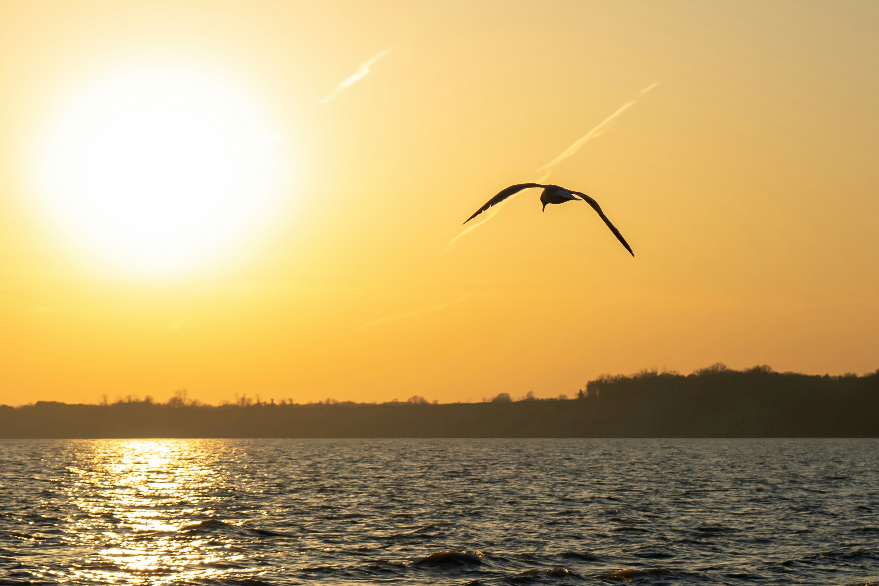 Photo by michael_g_krahn