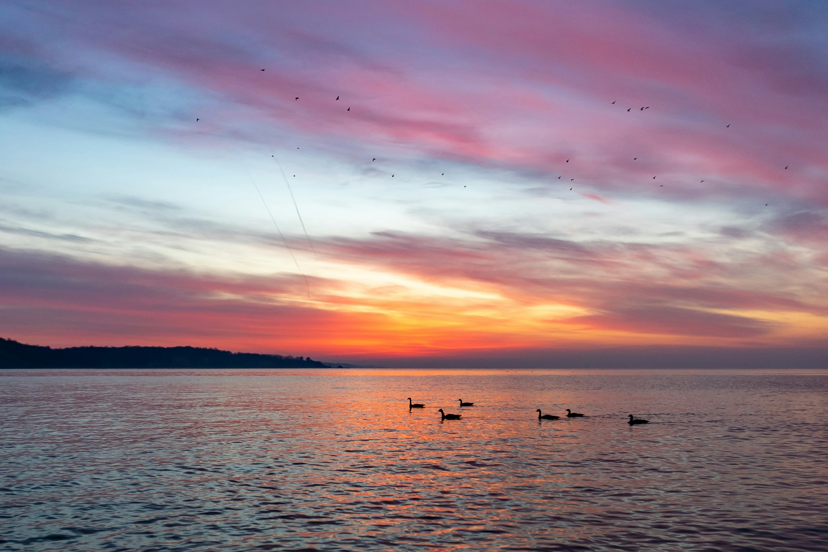 Photo by michael_g_krahn