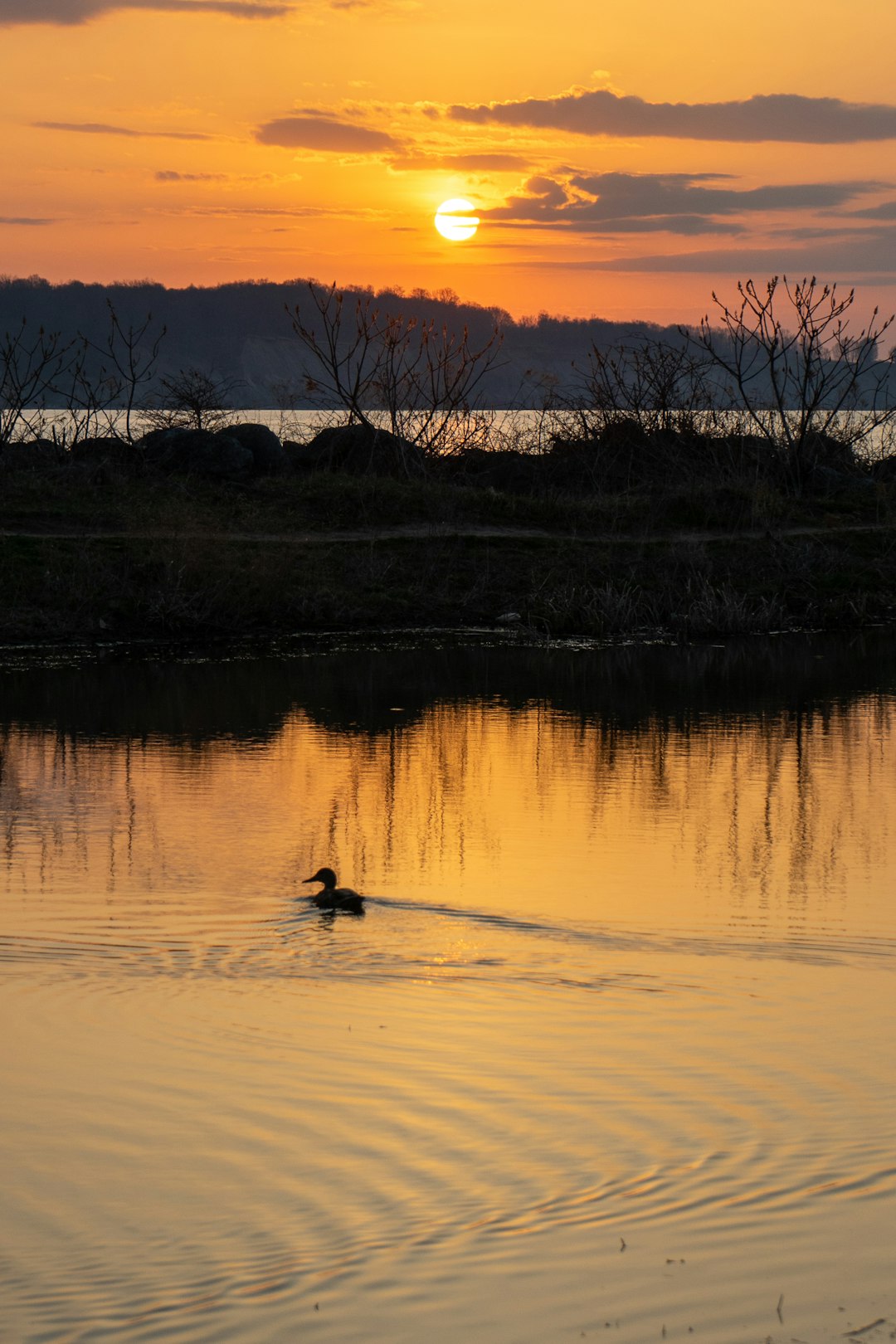 person riding on boat on lake during sunset