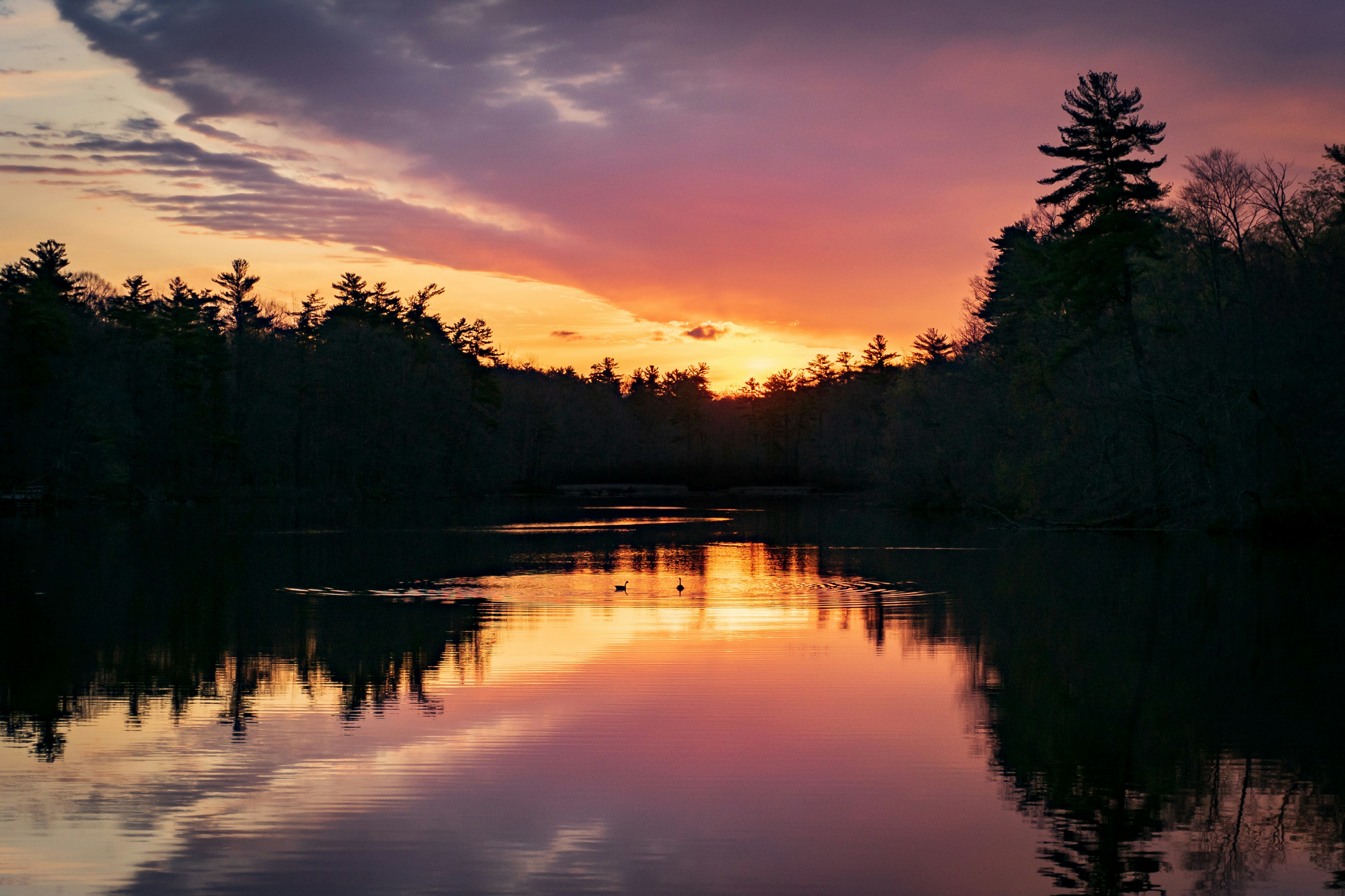 Photo by michael_g_krahn