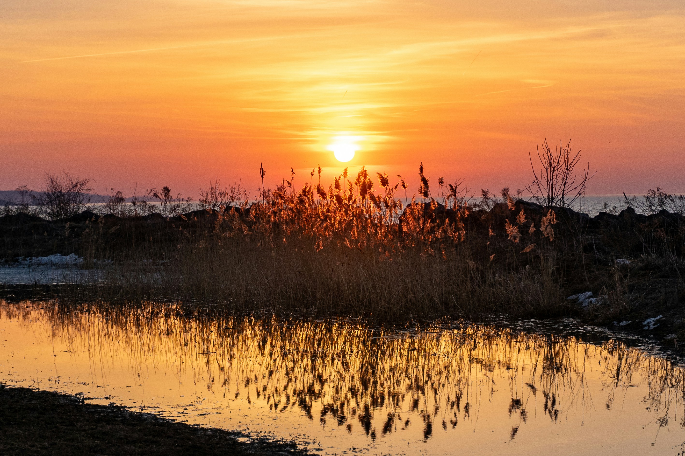 Photo by michael_g_krahn