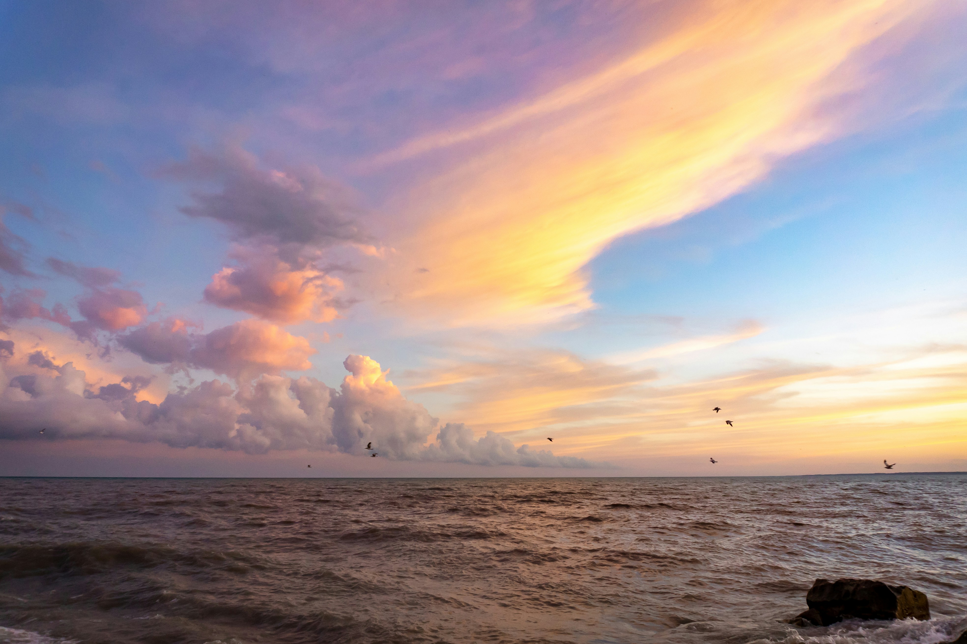 Photo by michael_g_krahn