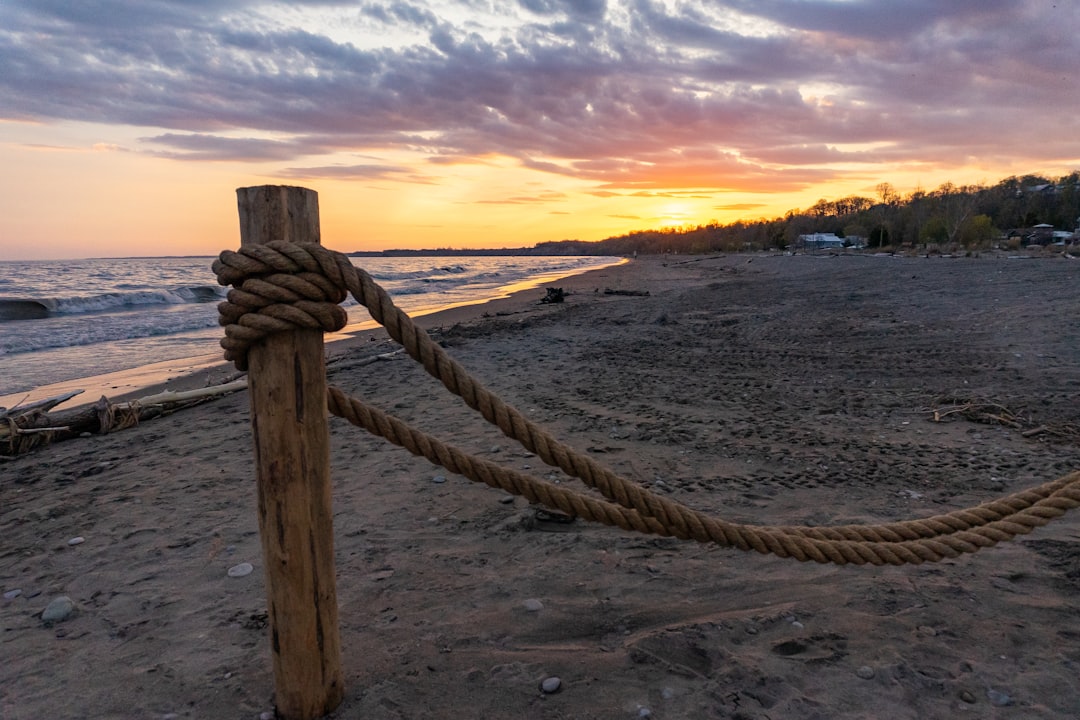 brown rope on beach during sunset