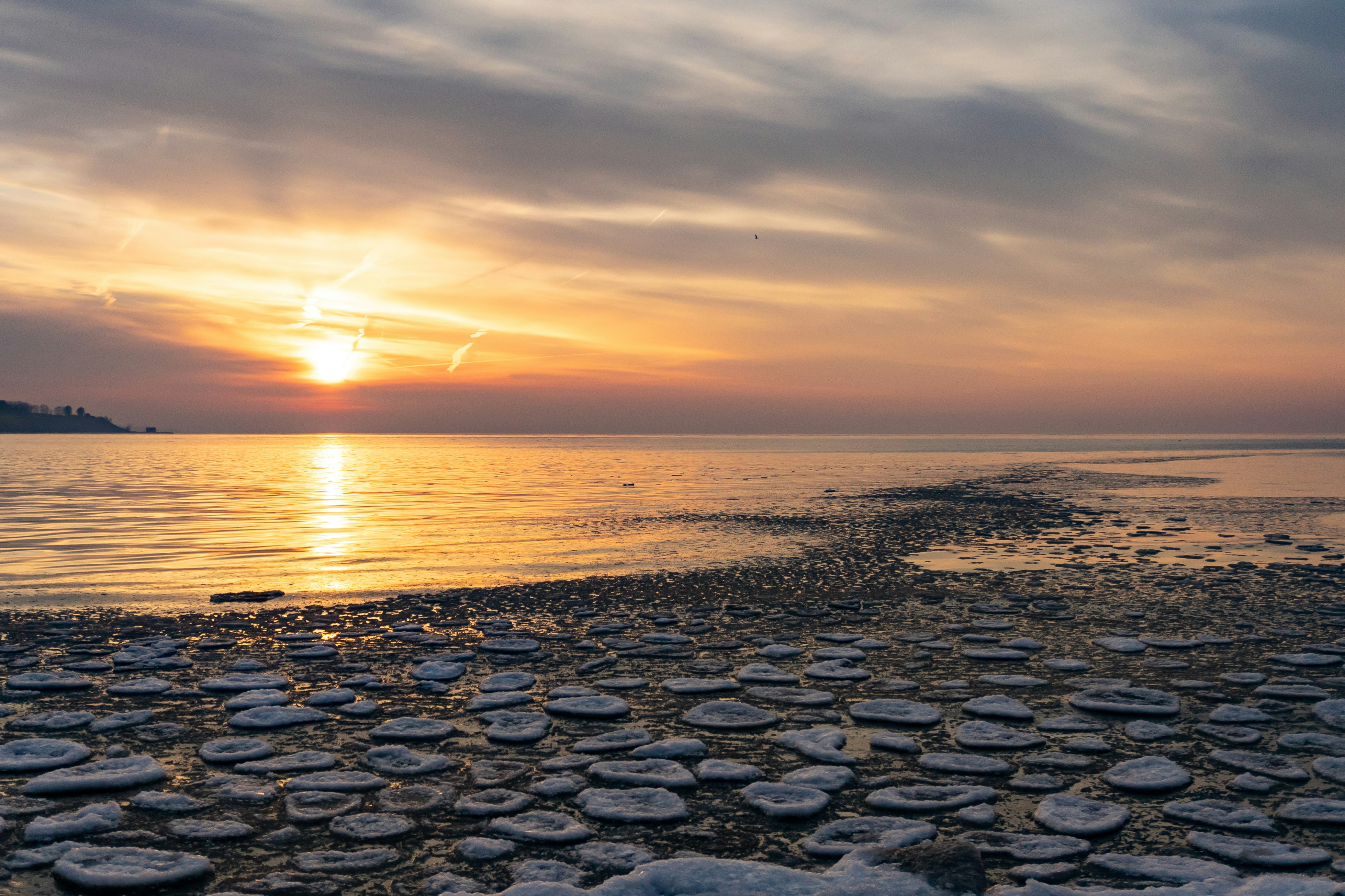 Photo by michael_g_krahn