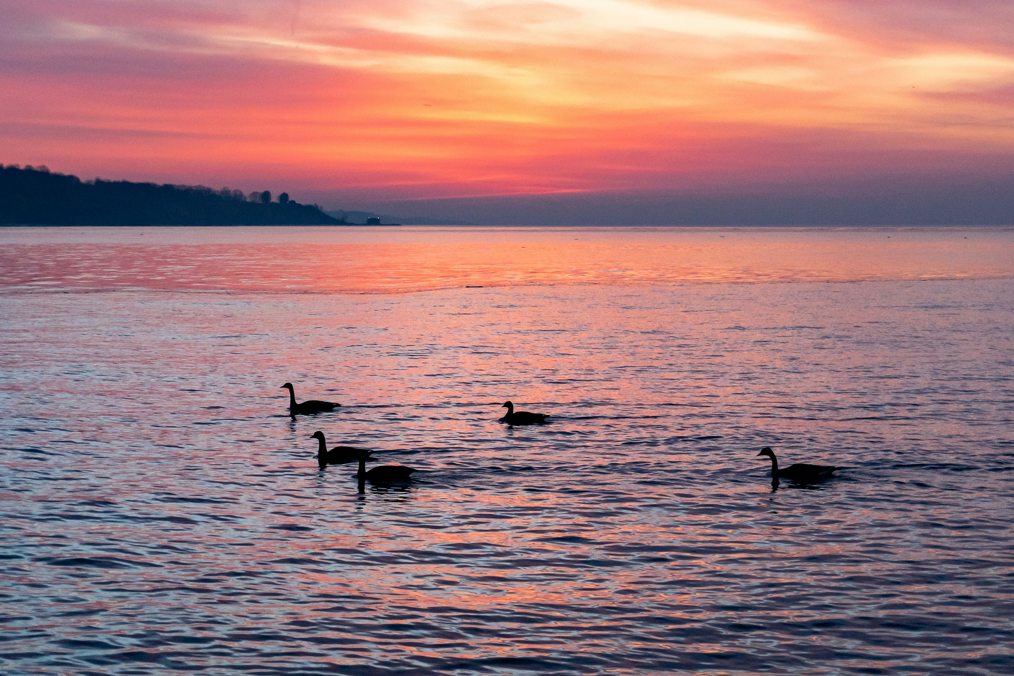 Photo by michael_g_krahn