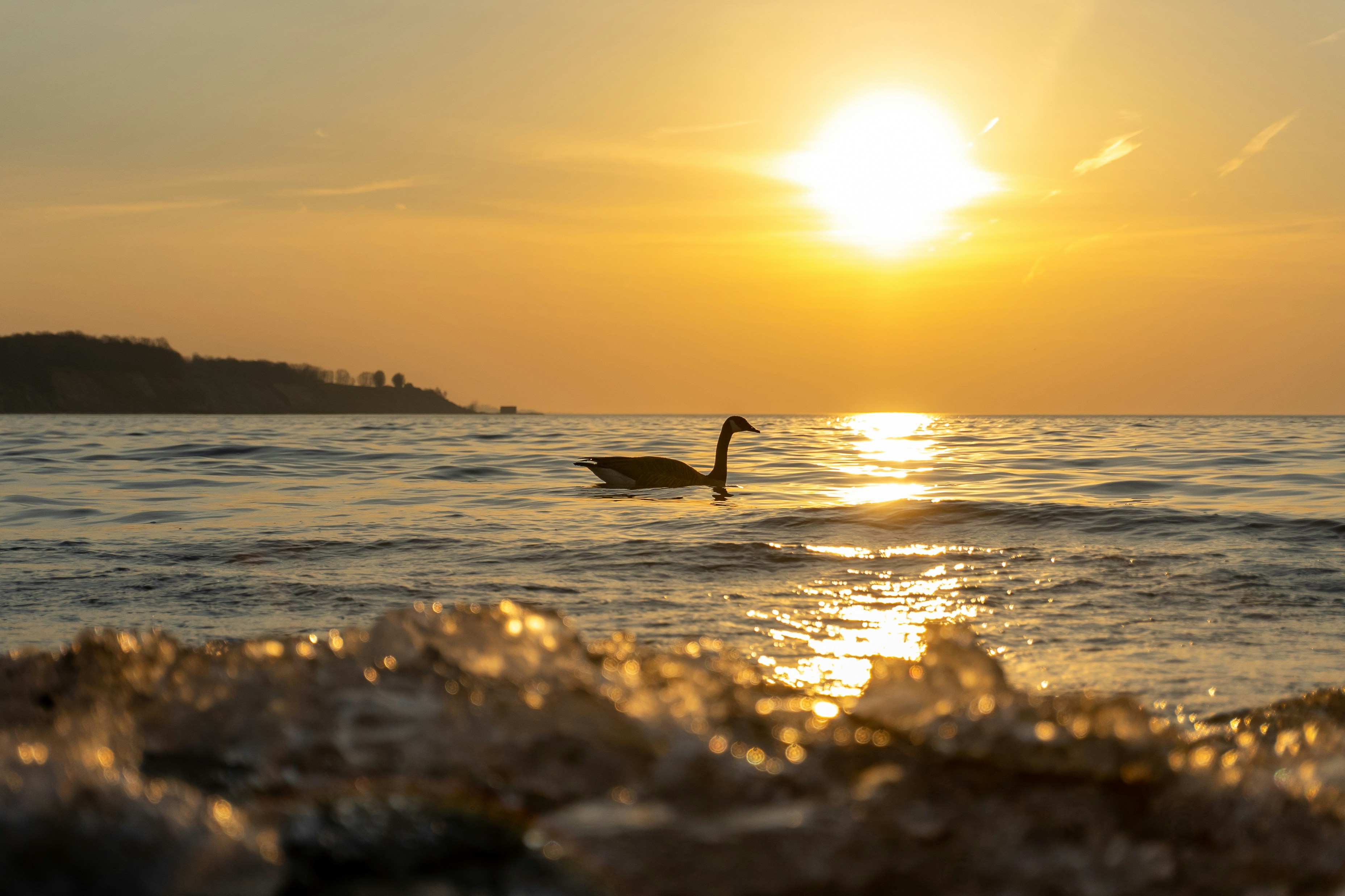 Photo by michael_g_krahn