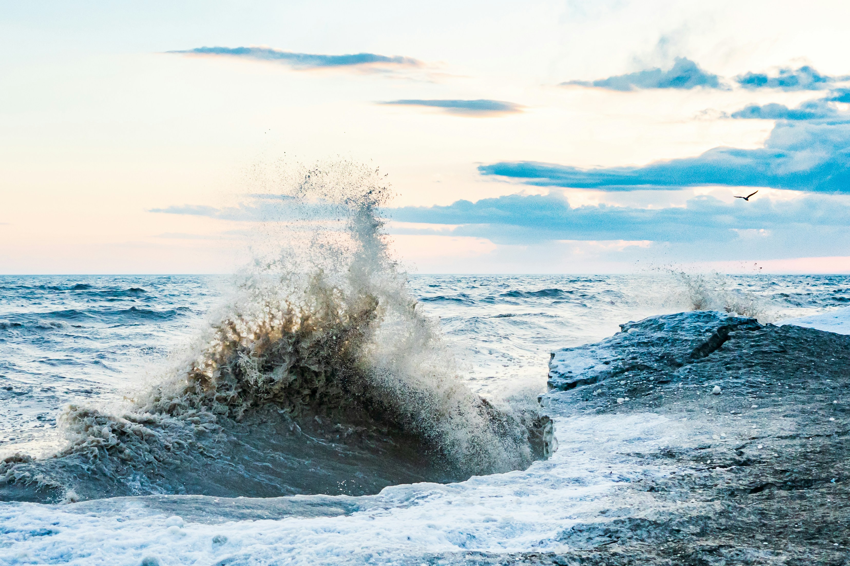 Photo by michael_g_krahn