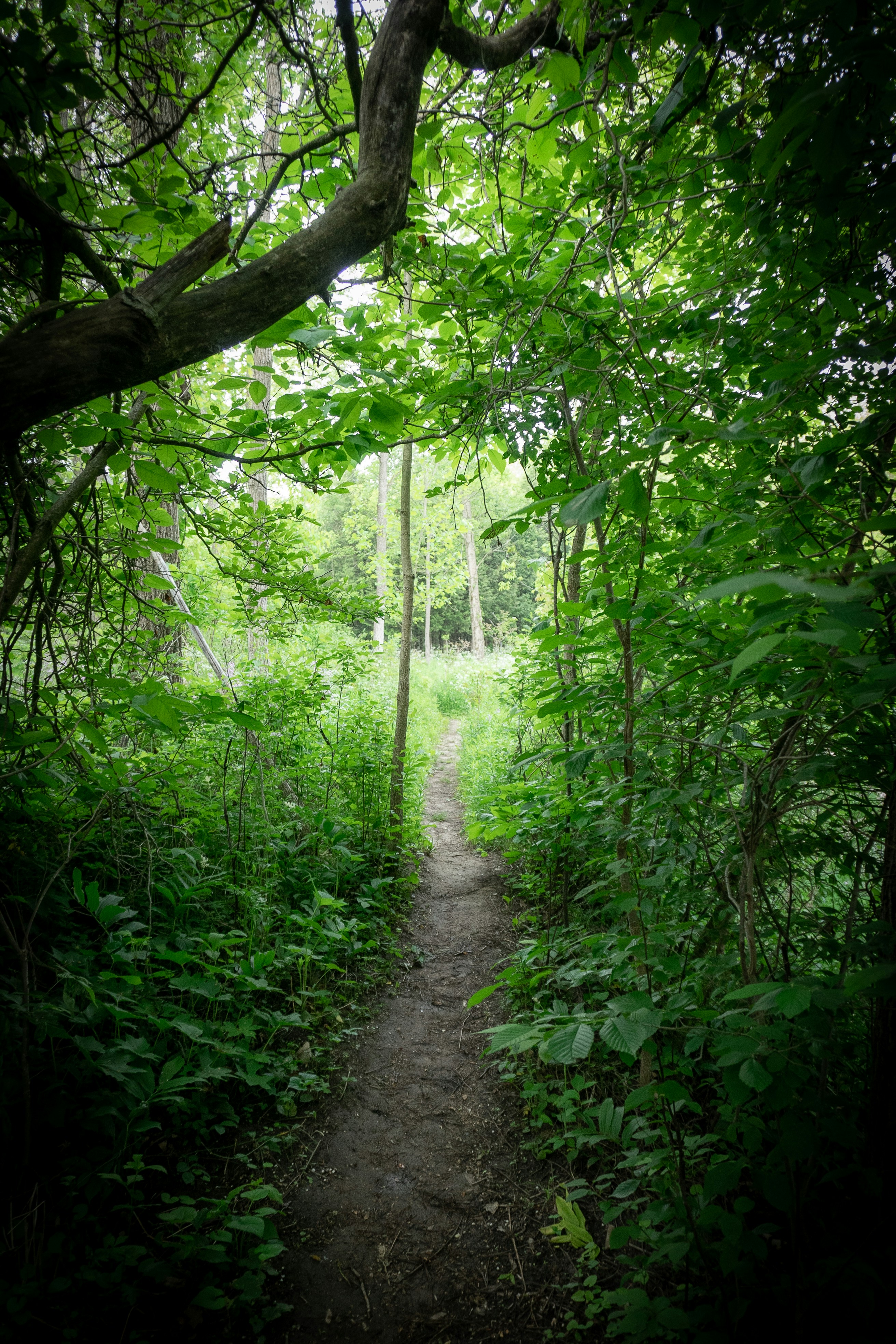 Photo by michael_g_krahn