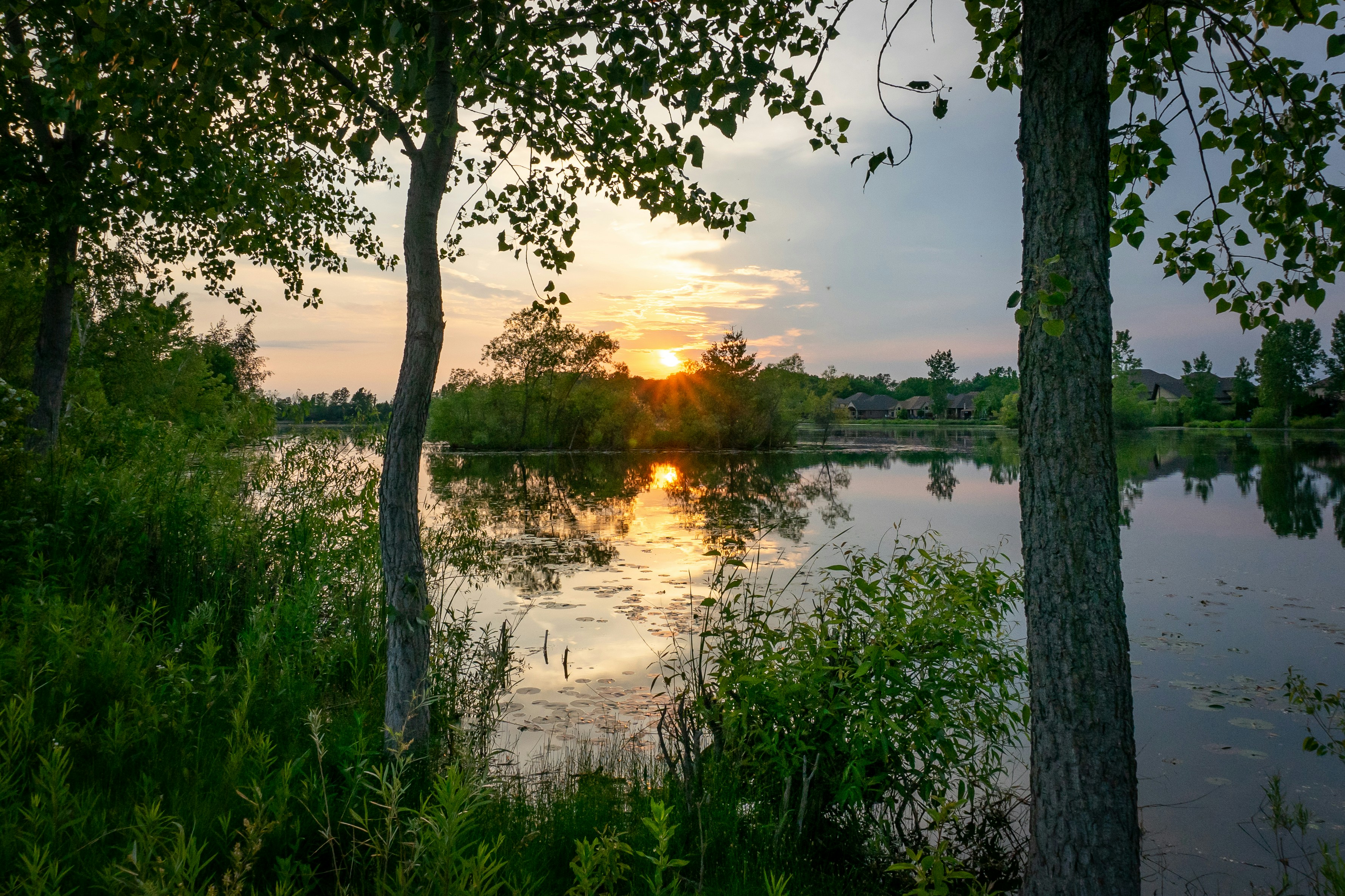 Photo by michael_g_krahn