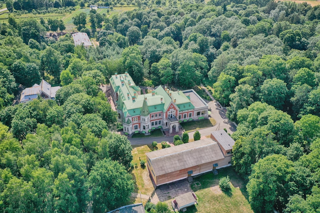 aerial view of green trees and houses during daytime